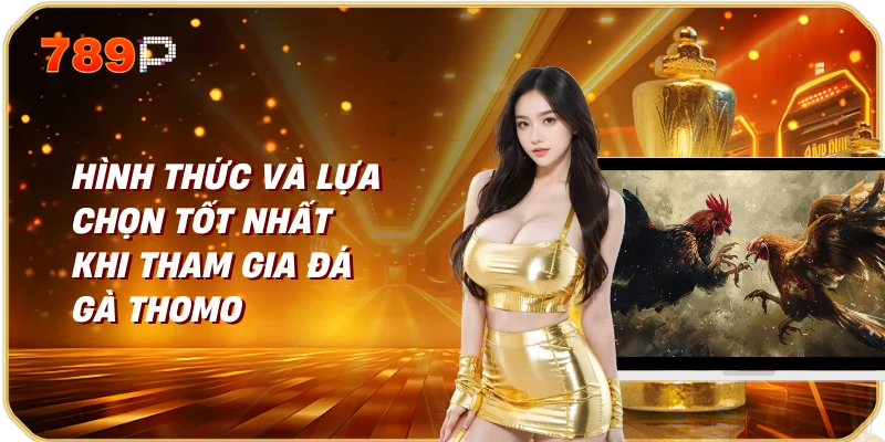 Hình thức và lựa chọn tốt nhất khi tham gia đá gà Thomo