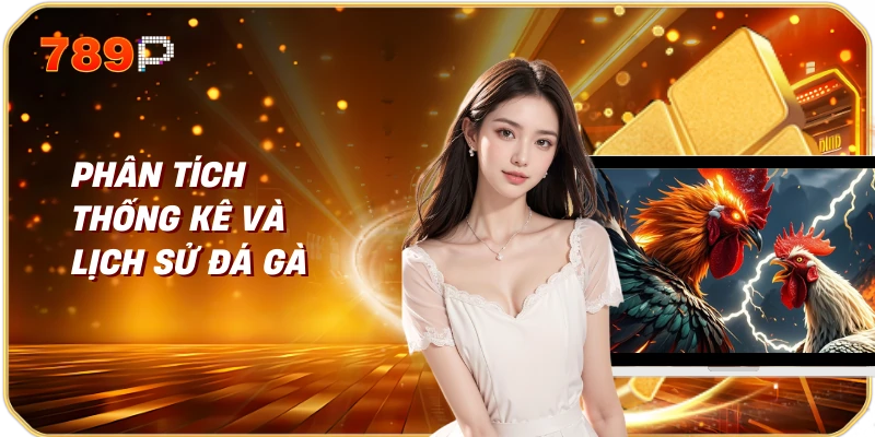 Phân Tích Thống Kê Và Lịch Sử Đá Gà
